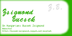 zsigmond bucsek business card